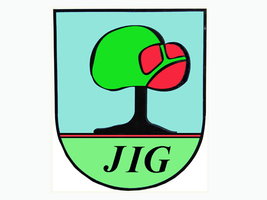 JIG logo